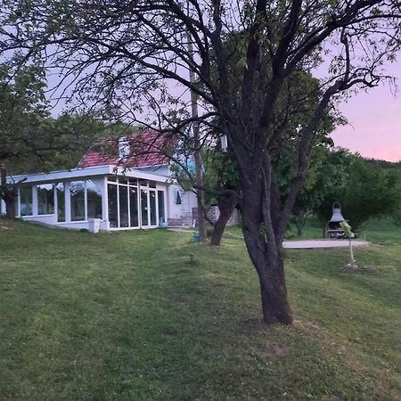 Honey Hill Apartment Fruska Gora Cserög Kültér fotó