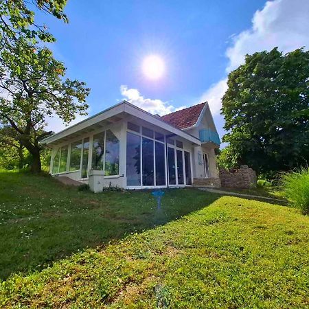 Honey Hill Apartment Fruska Gora Cserög Kültér fotó