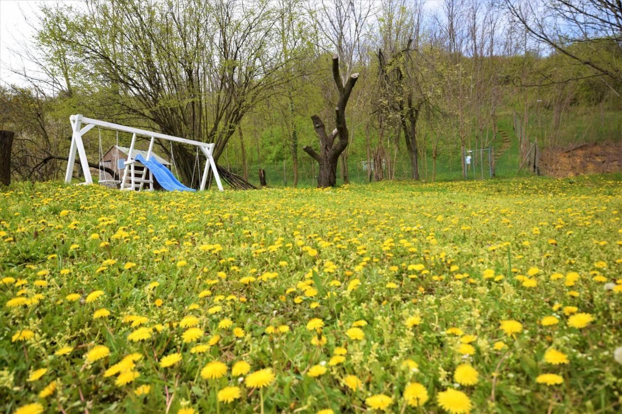 Honey Hill Apartment Fruska Gora Cserög Kültér fotó