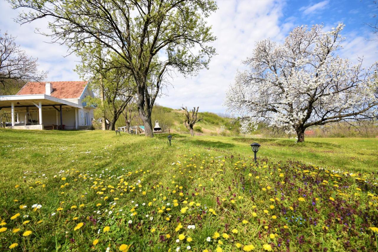 Honey Hill Apartment Fruska Gora Cserög Kültér fotó