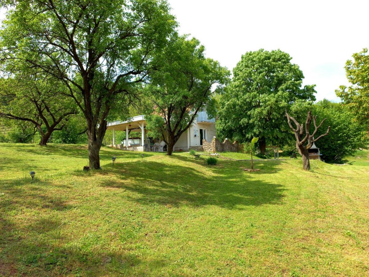 Honey Hill Apartment Fruska Gora Cserög Kültér fotó