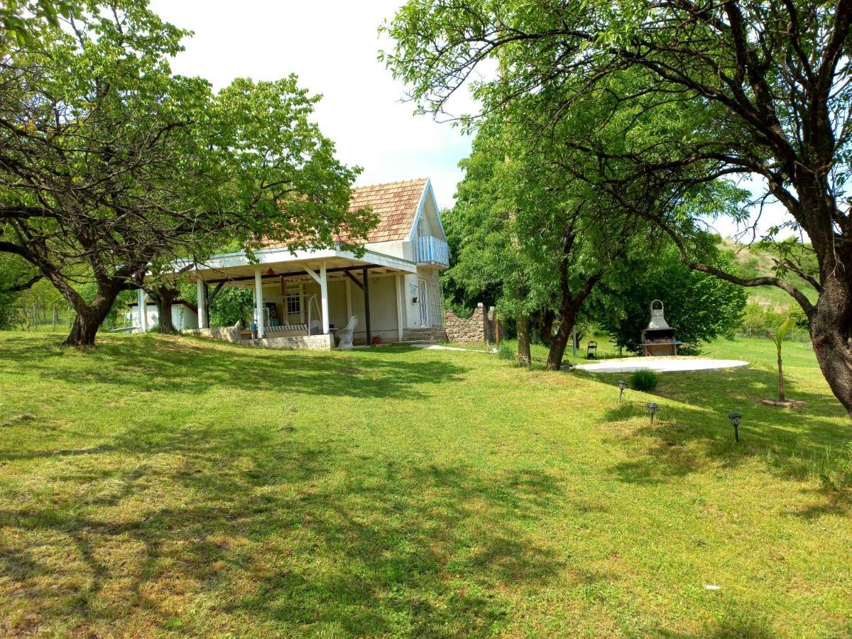 Honey Hill Apartment Fruska Gora Cserög Kültér fotó