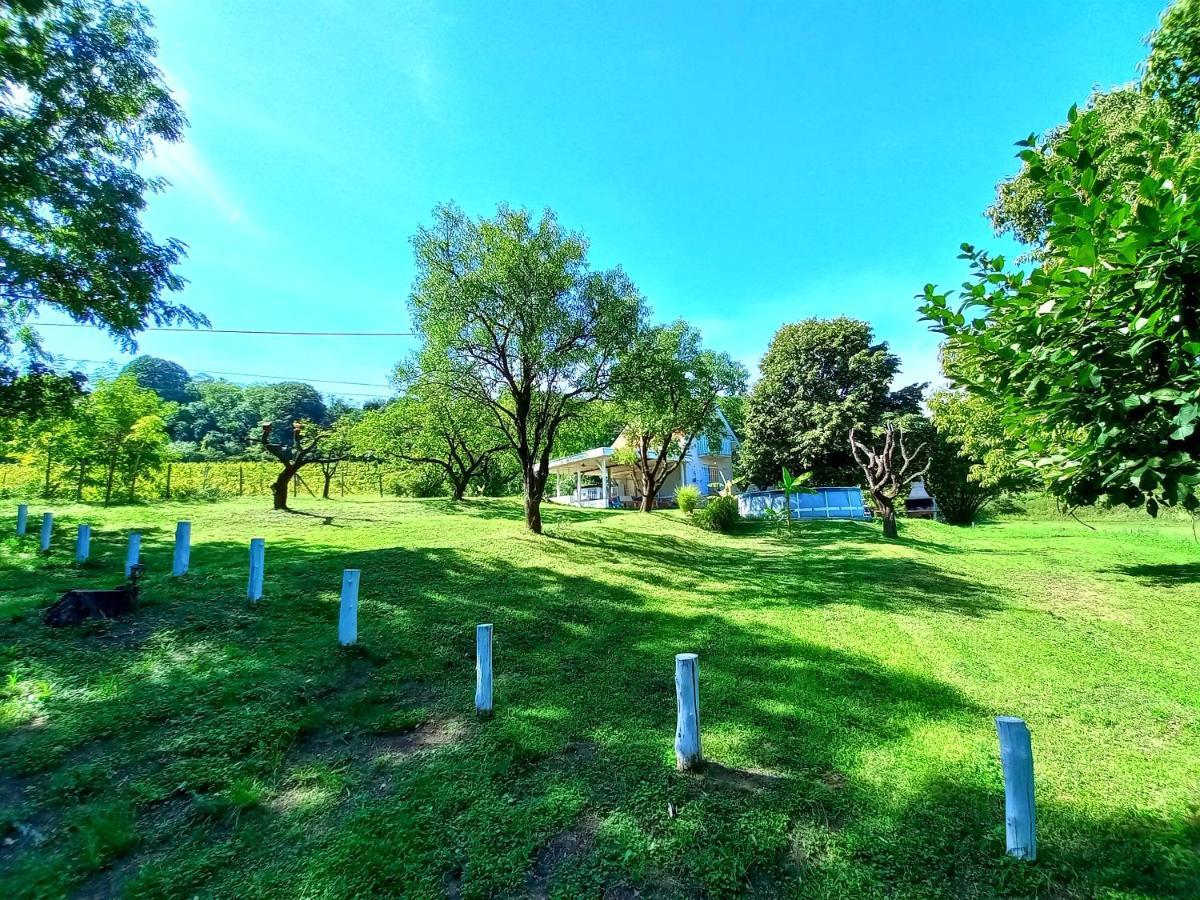 Honey Hill Apartment Fruska Gora Cserög Kültér fotó
