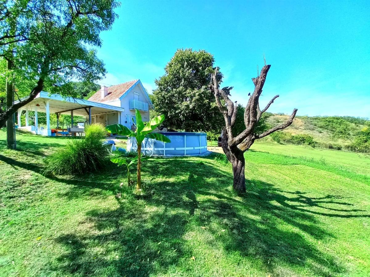 Honey Hill Apartment Fruska Gora Cserög Kültér fotó