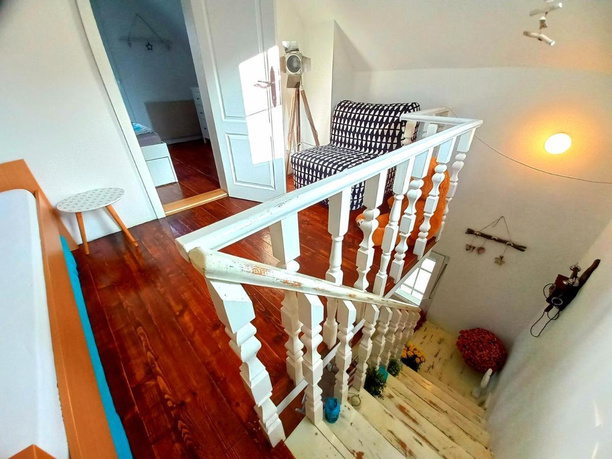 Honey Hill Apartment Fruska Gora Cserög Kültér fotó