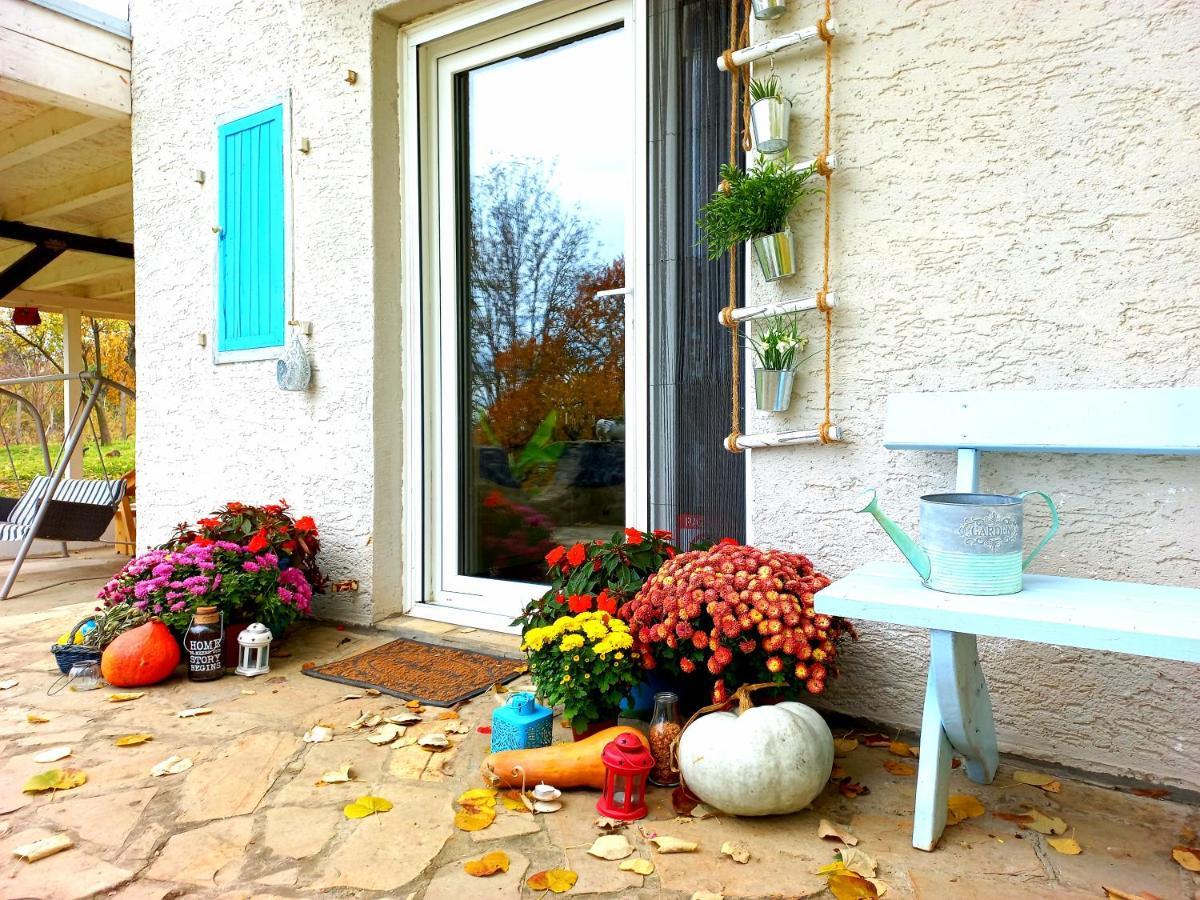 Honey Hill Apartment Fruska Gora Cserög Kültér fotó