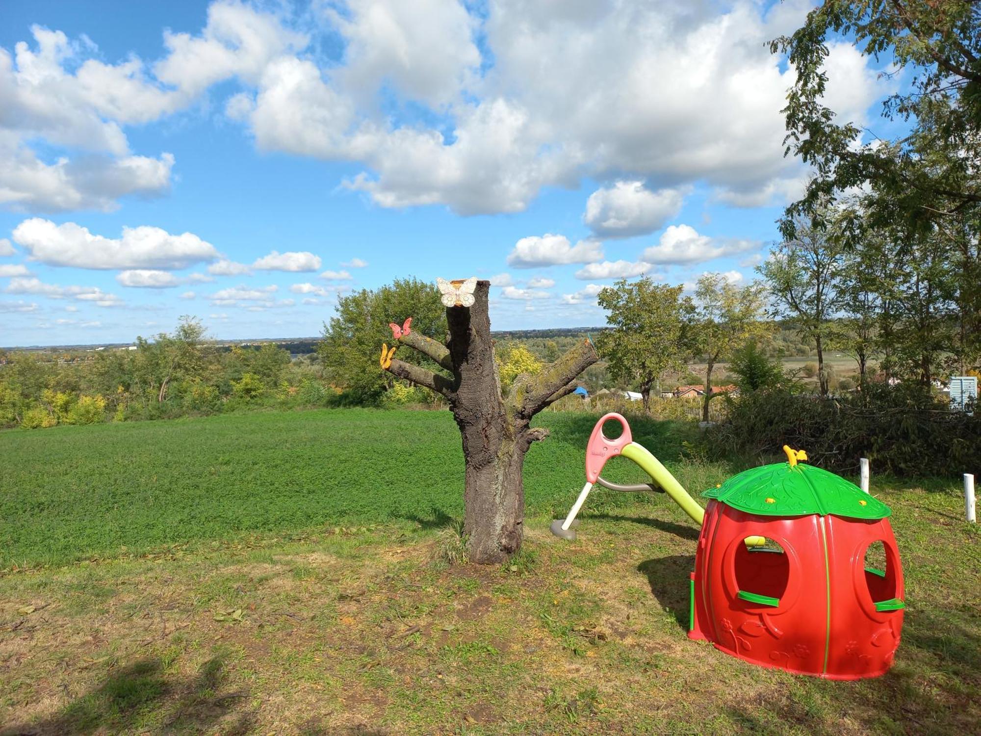 Honey Hill Apartment Fruska Gora Cserög Kültér fotó