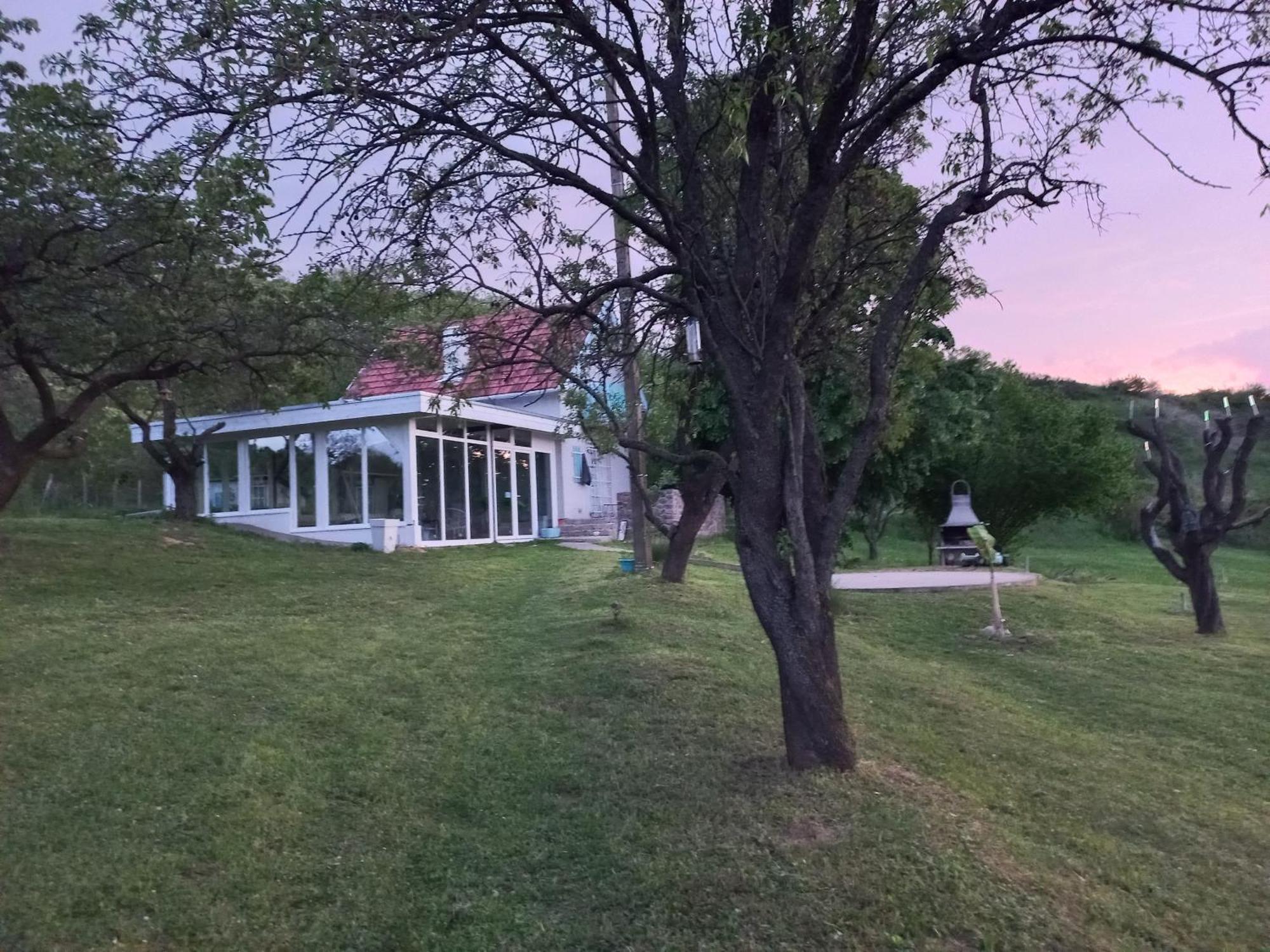 Honey Hill Apartment Fruska Gora Cserög Kültér fotó
